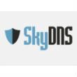 купоны SkyDNS